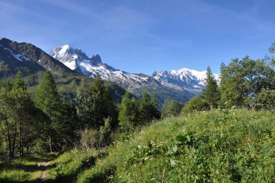 Aiguille Verte et Mont-Blanc depuis le sentier de montée à l'Aiguillette des Posettes