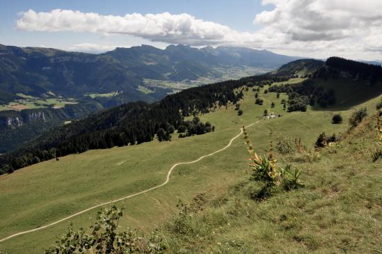 Panorama sur le plateau de Lans-en-Vercors depuis le belvédère de la Molière