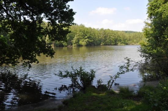 Etang des Vaux-de-Cernay