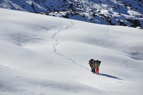 Une petite neige tardive ? Ici au passage du col entre Lachhewar et la vallée de la Basa khola