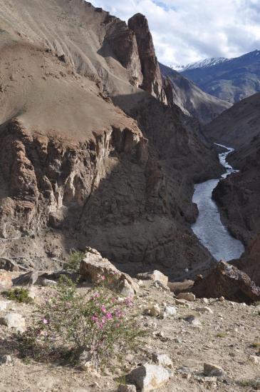 Les gorges de la Tsarap Chu vues depuis les hauts de Phuktal