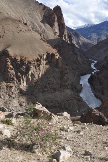 Les gorges de la Tsarap Chu vues depuis les hauts de Phuktal