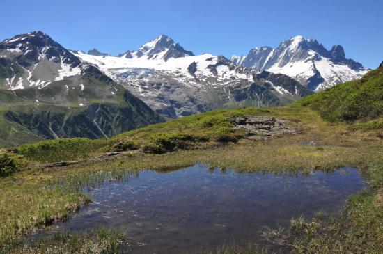 Les glaciers des Grands et du Tour vus depuis l'Aiguillette des Posettes