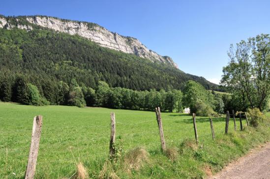 Sains et saufs du côté de la ferme des Philiberts...