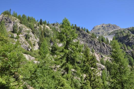 Au cours de la montée vers le lac d'Emosson par le vallon de Barberine