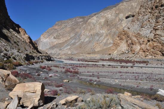 Le long de la Bharbung khola entre Kagkot et Terang