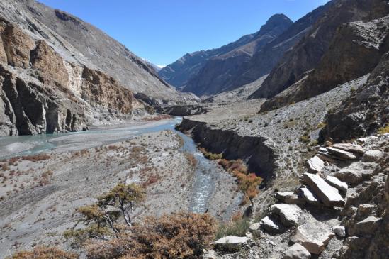 Le long de la Bharbung khola (un peu plus loin...)