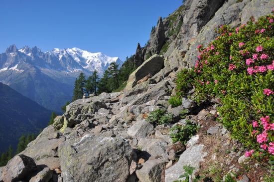 A l'approche du passage critique de l'Aiguillette d'Argentière