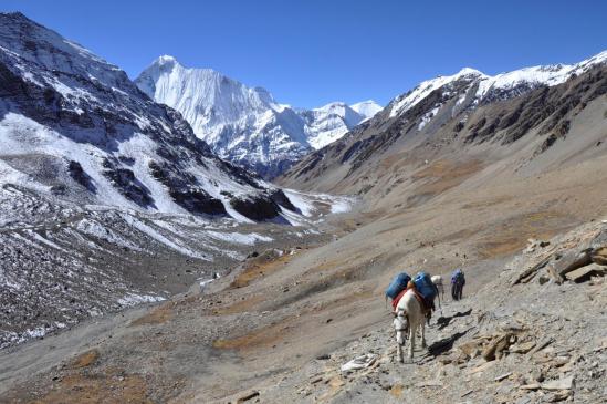 A l'arrière, l'enfilade de la haute vallée de la Mu khola et la chaîne du Dhaulagiri himal