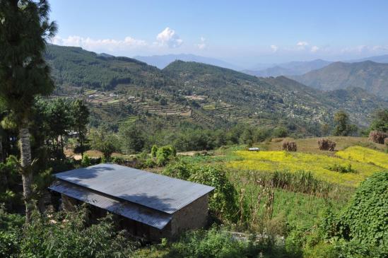 Depuis Galpa bazar, vue sur la verdoyante vallée de la Thilap khola