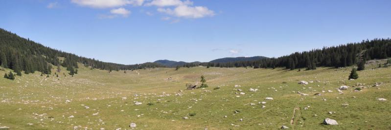 La prairie de Darbounouse sur les Hauts Plateaux