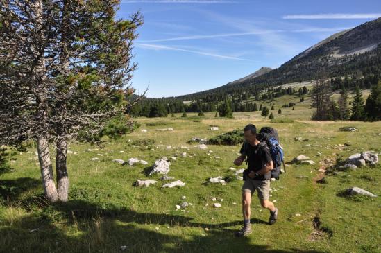 Sur les Hauts Plateaux entre la Jasse du Play et la Grande Cabane