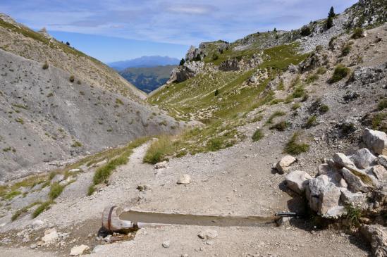 Au Pas des Bachassons (au fond, le massif de Belledonne)