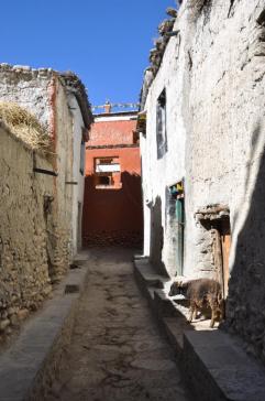 Dans les ruelles de Lo Monthang