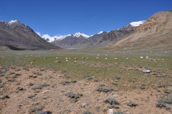 Sur le chemin de Sarchu, traversée de la prairie de Kham Krap