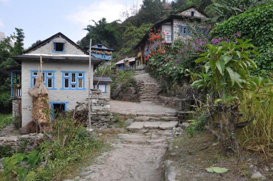 Jubing dans la vallée de la Dudh kosi