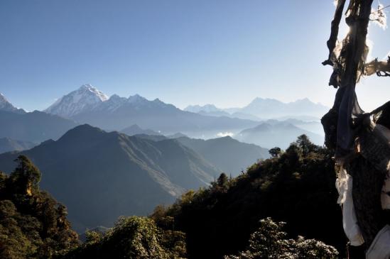 Matin serein à Upallo Jalja La (Dhaulagri I, Annapurna et Machhapuchchhre)