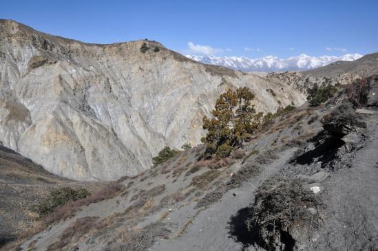 A l'approche des alpages de Chhumuja