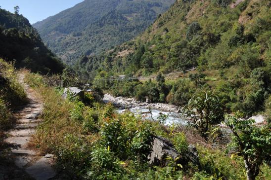 La végétation tropicale à l'approche de Sukethum