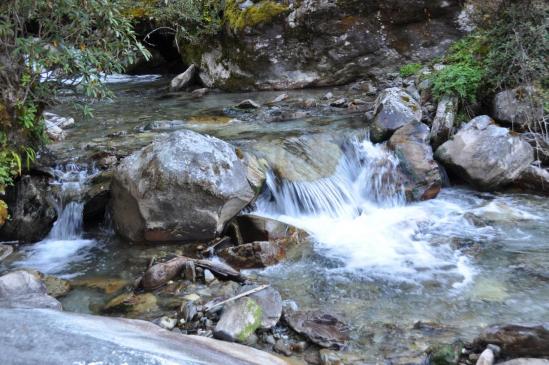 Le torrent du bucolique vallon de Bharte