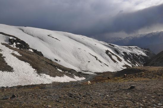 Le Salde khola High Camp