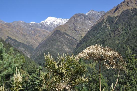 Sur les crêtes du Bharbhare Lagna, le Mata Tumba