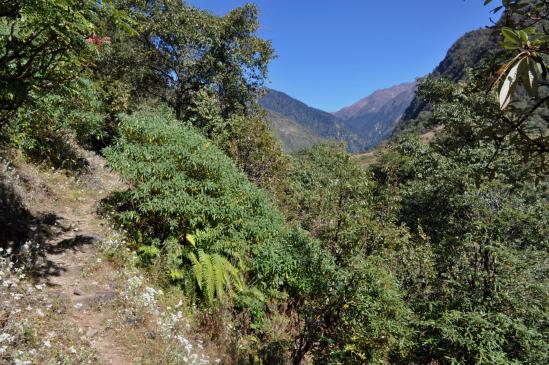 Arrivée au Dhupi bhanjyang