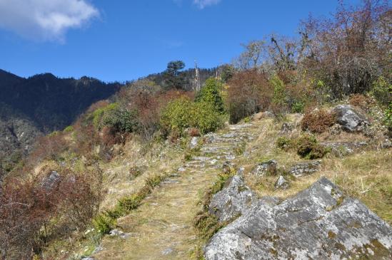 Entre le camp de l'Omje khola et le Lasiya bhanjyang