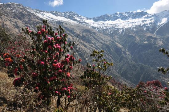 Descente sur Swanta (Chistibang)