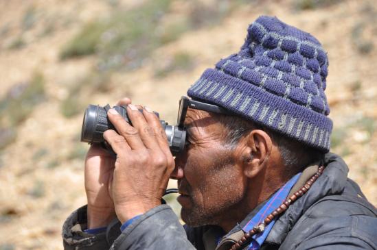 Berger qui surveille ses troupeaux de yacks dans les alpages du Rasi La