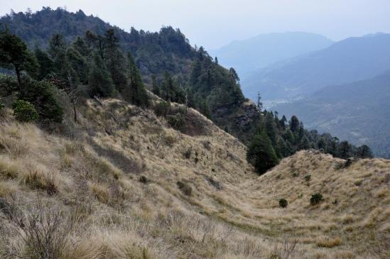 Entre l'Hampal pass et le Jaljala