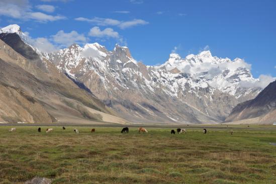 La plaine alluviale de Rangdum avec le massif du Kun-Nun à l'horizon