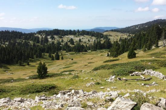 Les Hauts Plateaux aux alentours de la Jasse du Play (panorama depuis la fontaine)