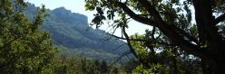 Les Roches de Treillaras vues depuis Les Condamines