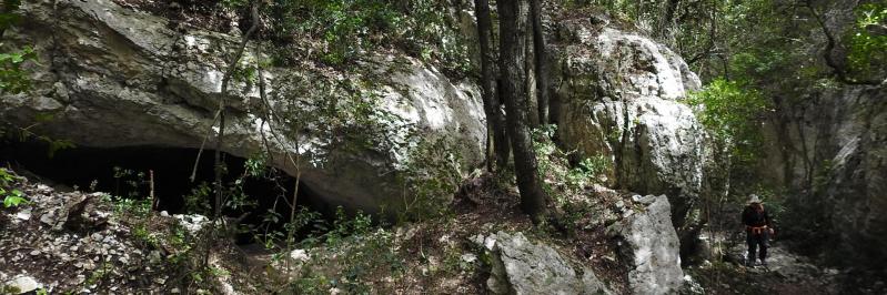 Dans la Grande combe de Lioux