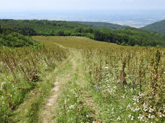 Traversée du Pré de Cinq Sous