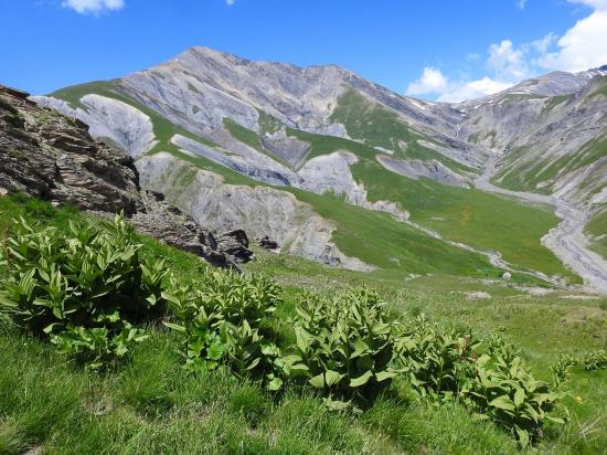 Descente vers le Chazelet (tour de la combe du Gâ)