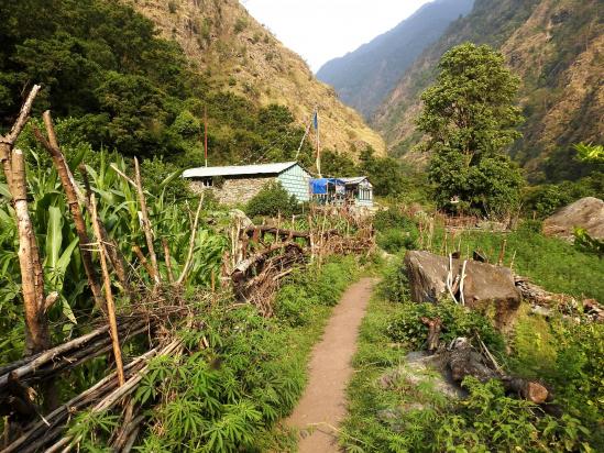 Le trek est à peine commencé que l'on rencontre déjà les premiers lodges (Tiwiri)