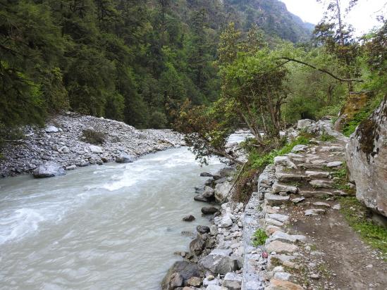 Le long de la Langtang khola du côté de Lama hotel