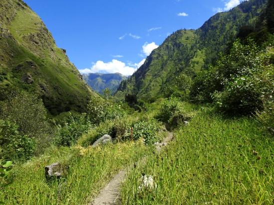 Traversée des terrasses de millet du côté de Riusa