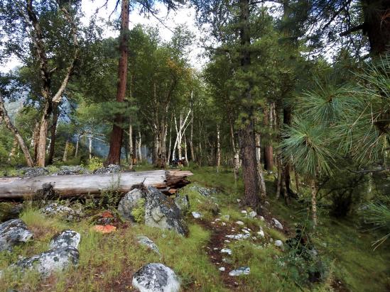 Le camp de la Takla khola : le Paradis avant l'Enfer...?