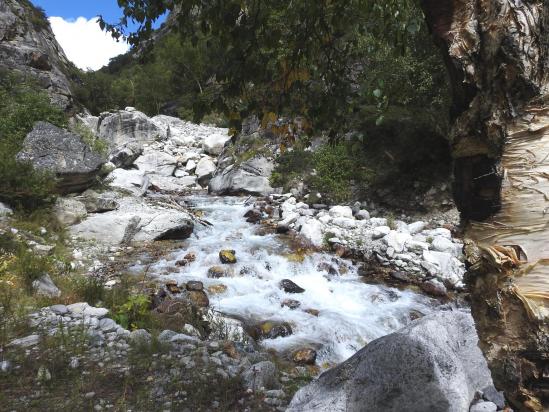 La Kaipuchonam khola issue du glacier S du Kubi himal