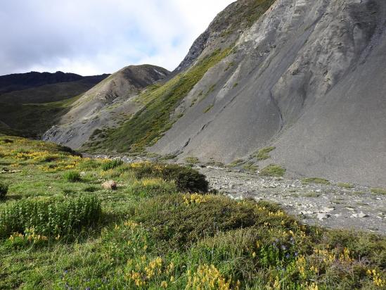 Dans la haute vallée de la Dachung khola