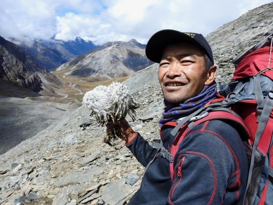 Mane Gurung et son bouquet de fleurs de moraine