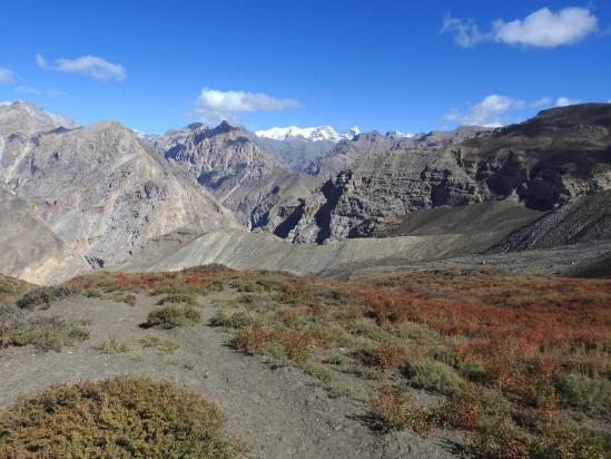 En montant vers le Yambur La au départ de Potalgaon