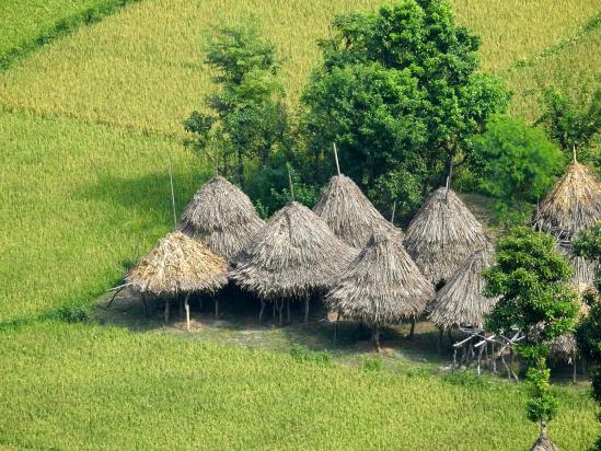 Vue plongeante sur le rizières du côté de Manthali