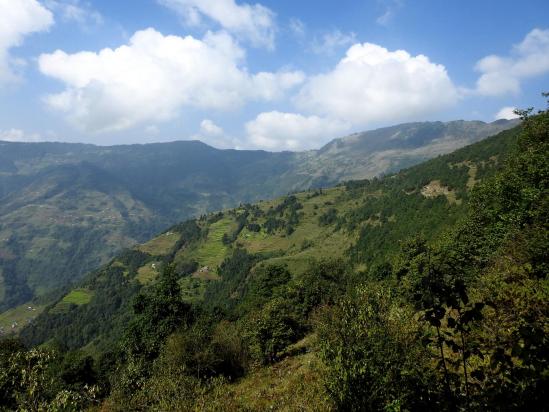 Sur les crêtes de l'Ekangnagi