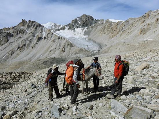 La caravane muletière dans les dernières pentes du Largyap La