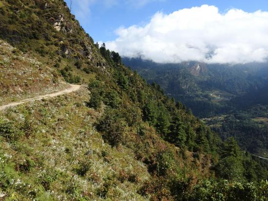 Sur le sentier-balcon au-dessus de la Junbesi khola