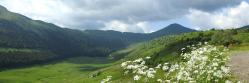 Le puy Mary trône au fond de la vallée de la Petite Rhue